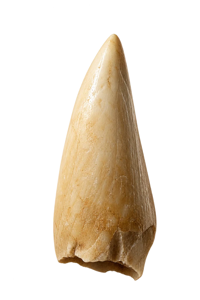 La plume